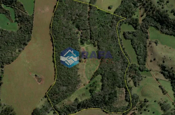 SÍTIO 37 HECTARES / LINHA RONDINHA / MUNICÍPIO DE PATO BRANCO PR