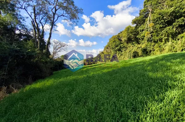 ÁREA DE PLANTIO 2 ALQ || LINHA N. SENHORA APARECIDA || BOM SUCESSO DO SUL - PR