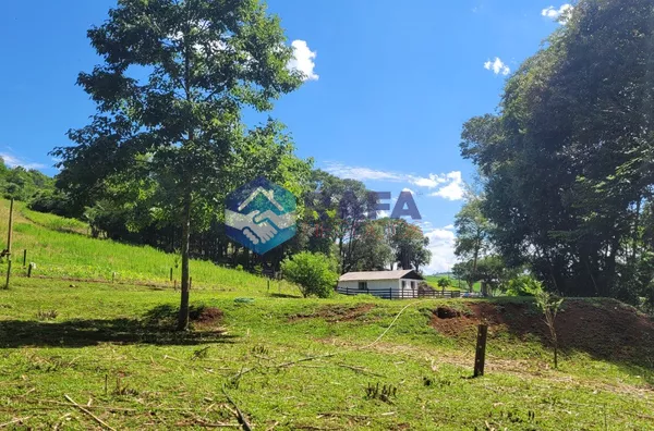 CHÁCARA 50.000m² || LINHA PALMITAL || CLEVELANDIA - PR 