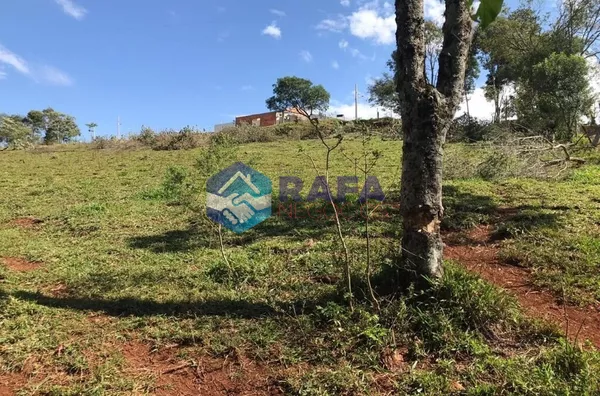 CHÁCARA|| ALVORADA || PATO BRANCO - PR