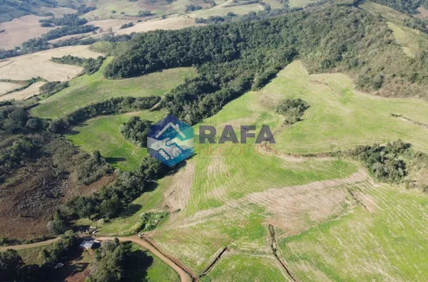 ÁREA RURAL COM 295.444 m² || LINHA FARTURA || VITORINO - PR - Foto 22