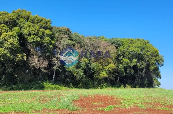 TERRENO PLANO 388M² || LOTEAMENTO JARDIM MATILDE || PATO BRANCO - PR