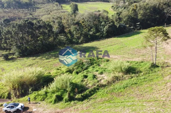 ÁREA RURAL COM 295.444 m² || LINHA FARTURA || VITORINO - PR - Foto 13