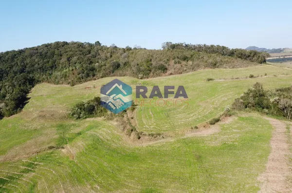 ÁREA RURAL COM 295.444 m² || LINHA FARTURA || VITORINO - PR - Foto 27