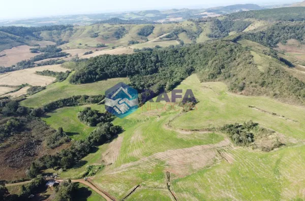 ÁREA RURAL COM 295.444 m² || LINHA FARTURA || VITORINO - PR - Foto 9