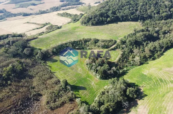 ÁREA RURAL COM 295.444 m² || LINHA FARTURA || VITORINO - PR - Foto 12