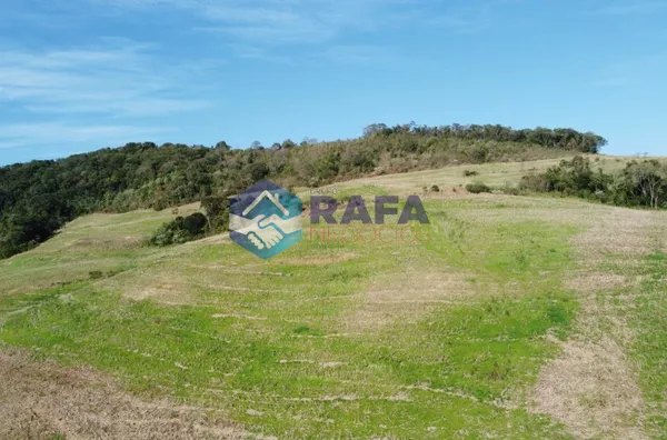 ÁREA RURAL COM 295.444 m² || LINHA FARTURA || VITORINO - PR - Foto 18