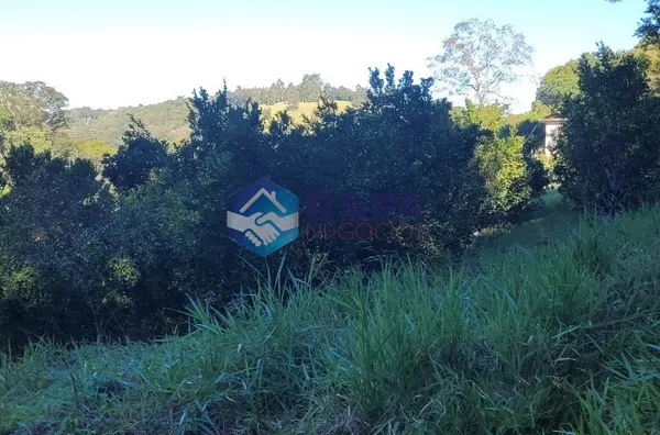 SÍTIO 37 HECTARES / LINHA RONDINHA / MUNICÍPIO DE PATO BRANCO PR