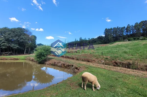 CHÁCARA 50.000m² || LINHA PALMITAL || CLEVELANDIA - PR 