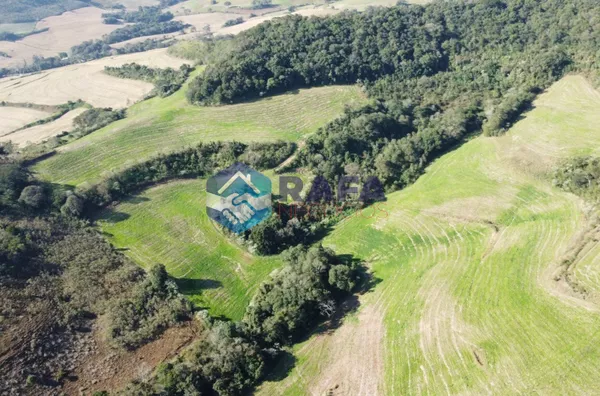  ÁREA  RURAL COM 295.444 m² || LINHA FARTURA || VITORINO - PR