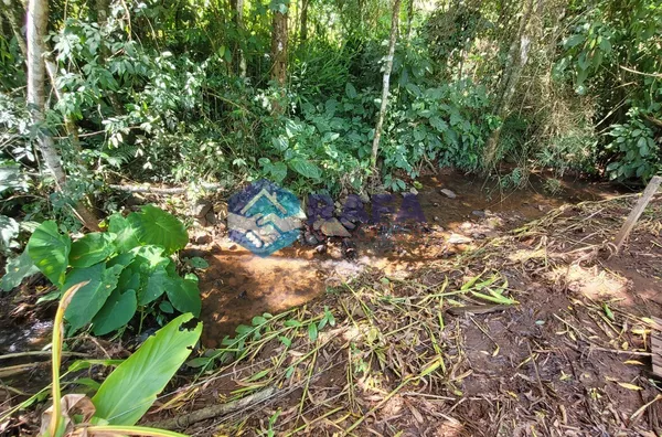 CHÁCARA 50.000m² || LINHA PALMITAL || CLEVELANDIA - PR 