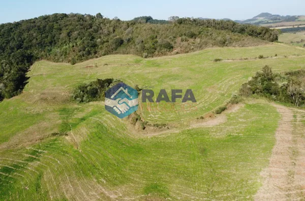 ÁREA RURAL COM 295.444 m² || LINHA FARTURA || VITORINO - PR - Foto 28