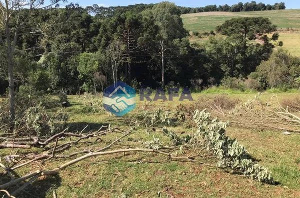 CHÁCARA|| ALVORADA || PATO BRANCO - PR