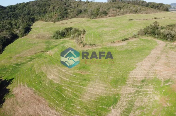 ÁREA RURAL COM 295.444 m² || LINHA FARTURA || VITORINO - PR - Foto 19