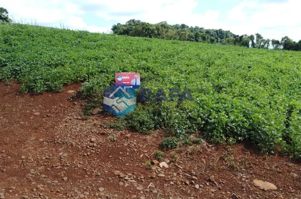 CHÁCARA PRÓXIMO SHOPPING ||  PATO BRANCO - PR