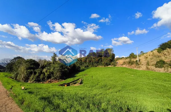 ÁREA DE PLANTIO 2 ALQ || LINHA N. SENHORA APARECIDA || BOM SUCESSO DO SUL - PR