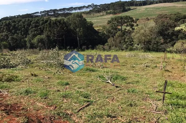 CHÁCARA|| ALVORADA || PATO BRANCO - PR