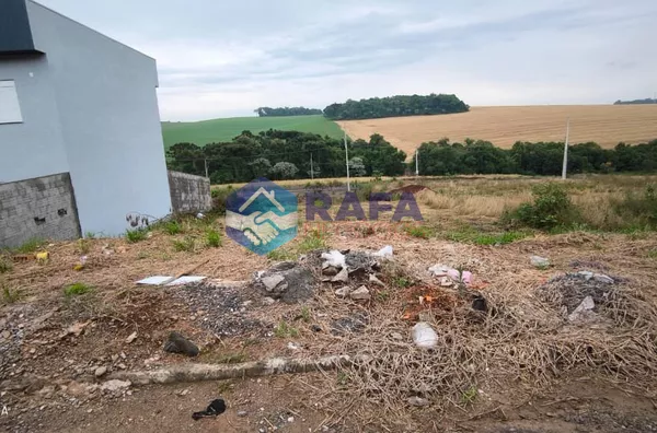TERRENO COM 312 m² || BAIRRO FRARON || PATO BRANCO - PR