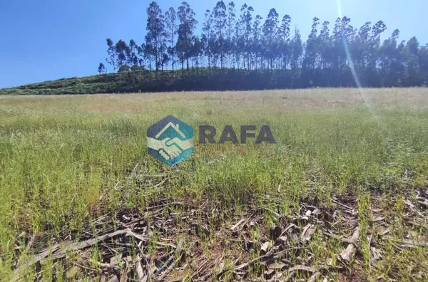 ÁREA DE TERRA 10,5 ALQUEIRES || LINHA ROVARIS || NOVO HORIZONTE - SC