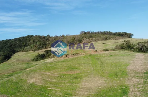 ÁREA RURAL COM 295.444 m² || LINHA FARTURA || VITORINO - PR - Foto 6