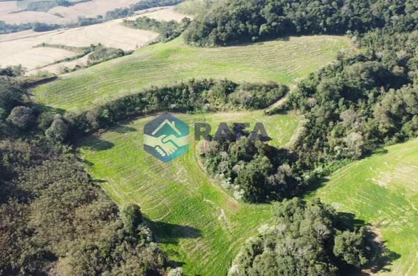 ÁREA RURAL COM 295.444 m² || LINHA FARTURA || VITORINO - PR - Foto 24