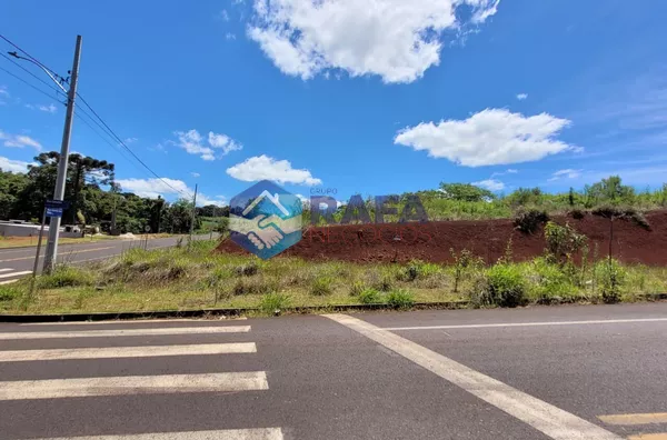 TERRENO DE ESQUINA 491M² || BAIRRO JARDIM FLORESTA || PATO BRANCO - PR