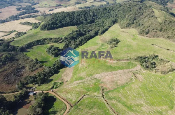 ÁREA RURAL COM 295.444 m² || LINHA FARTURA || VITORINO - PR - Foto 11