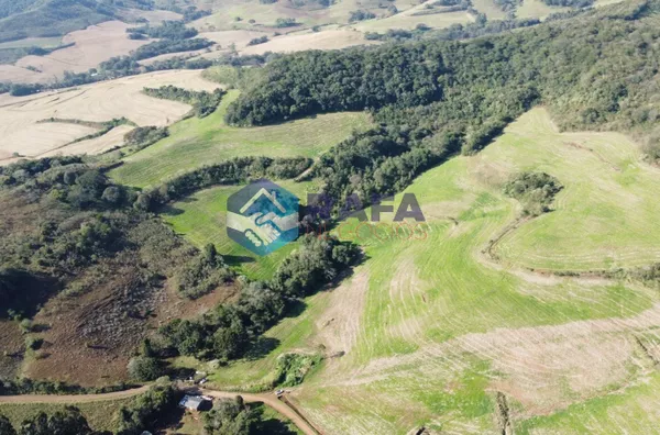 ÁREA RURAL COM 295.444 m² || LINHA FARTURA || VITORINO - PR - Foto 8