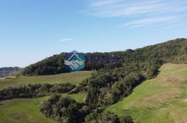 ÁREA RURAL COM 295.444 m² || LINHA FARTURA || VITORINO - PR - Foto 16