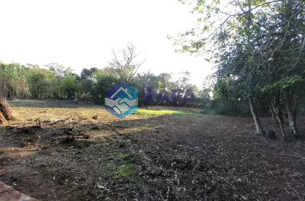 CHÁCARA 2,5 alqueires || LINHA CARAVAGIO || VITORINO - PR