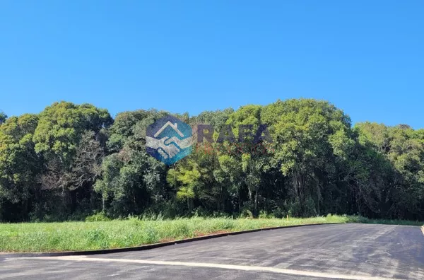 TERRENO PLANO 388M² || LOTEAMENTO JARDIM MATILDE || PATO BRANCO - PR