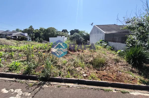 MEIO TERRENO COM 123M² || BAIRRO AEROPORTO || PATO BRANCO - PR