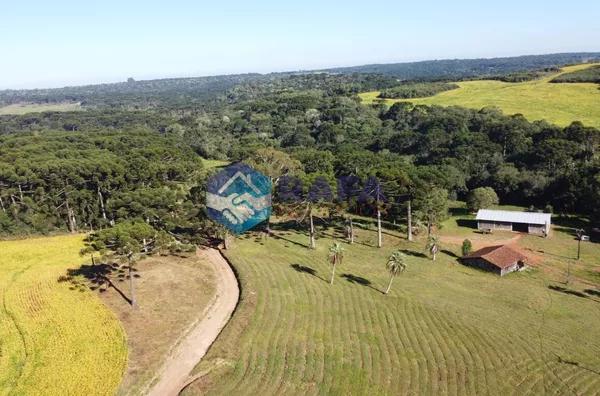 FAZENDA a 4km da cidade de CORONEL DOMINGOS SOARES