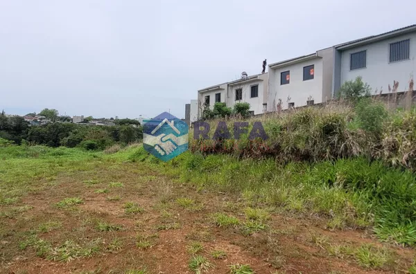 TERRENO COM 540,32m² || BAIRRO JARDIM FLORESTA || PATO BRANCO - PR - Foto 5