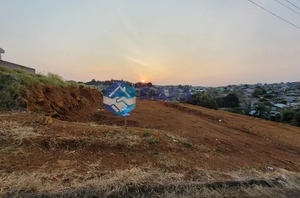 TERRENO || BAIRRO ALVORADA || PATO BRANCO - PR