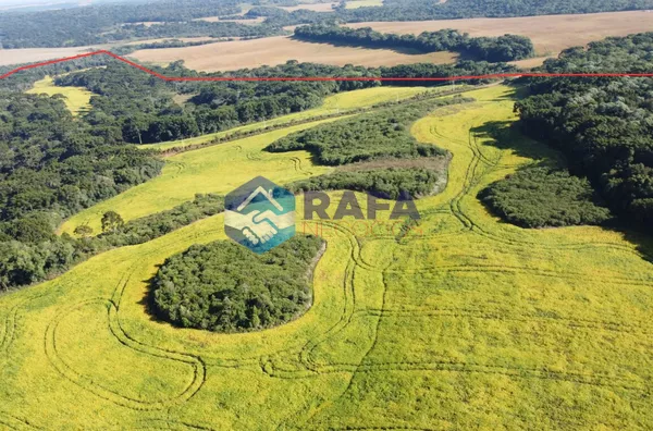 FAZENDA a 4km da cidade de CORONEL DOMINGOS SOARES