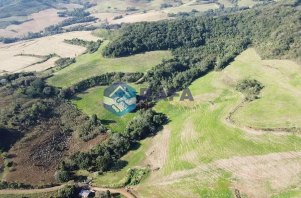  ÁREA  RURAL COM 295.444 m² || LINHA FARTURA || VITORINO - PR