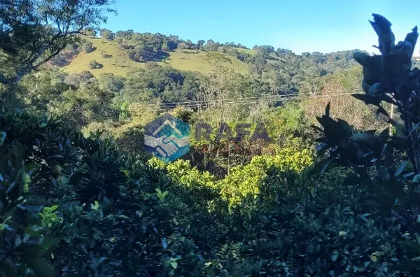 SÍTIO 37 HECTARES / LINHA RONDINHA / MUNICÍPIO DE PATO BRANCO PR