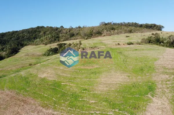 ÁREA RURAL COM 295.444 m² || LINHA FARTURA || VITORINO - PR - Foto 29