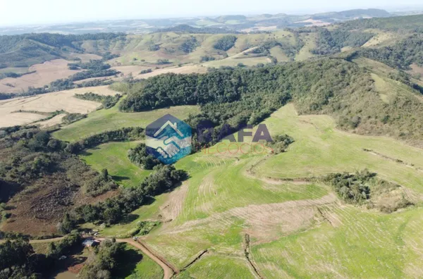 ÁREA RURAL COM 295.444 m² || LINHA FARTURA || VITORINO - PR - Foto 7