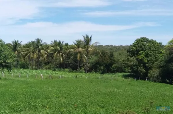 1.200 Hectares - 130 Hectares de lavoura