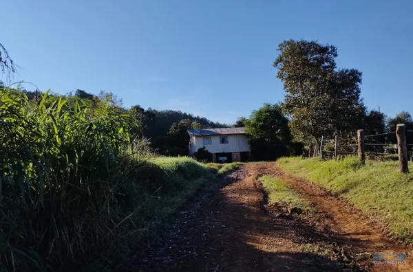 Chácara para venda 1 casa - 2.5 alqueires - selecione - Volta Alegre francisco beltrão
