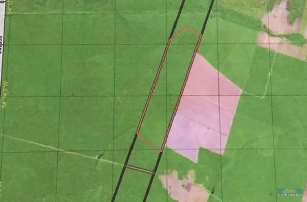 Fazenda com 1200 Hectares em Paranatinga -MT