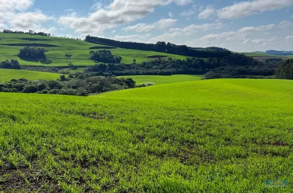 Rural para venda,  - Selecione - Bairro, Flor Da Serra