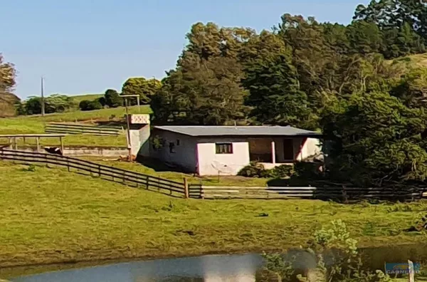 Chácara para venda 6,07 alqueires - Km15 francisco beltrão