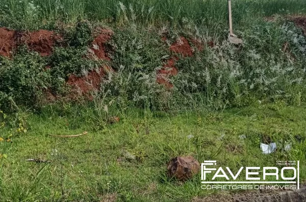 Terreno à venda no Bairro São Luiz – 387 m²