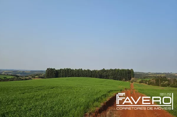 Chácara para venda para cultivo de eucalipto 