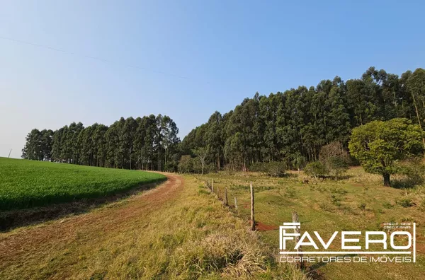 Chácara para venda para cultivo de eucalipto 