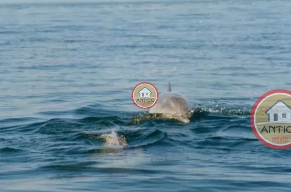 ILHA DAS PEÇAS –TERRENO COM 935 M² - O PARAÍSO DOS GOLFINHOS