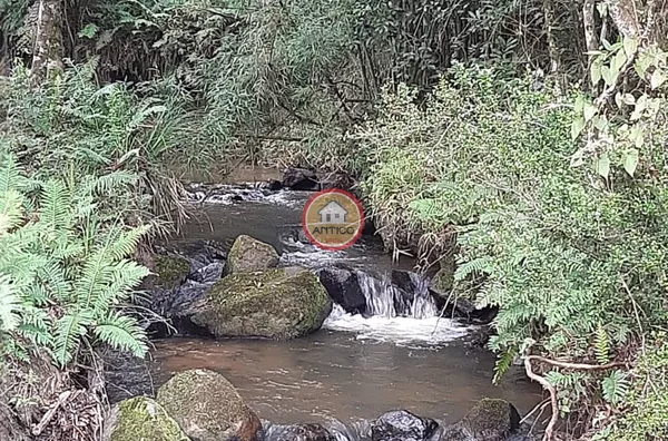 ESPETACULAR CHÁCARA COM 223.007,16 m ²,  EM BOCAIÚVA DO SUL 